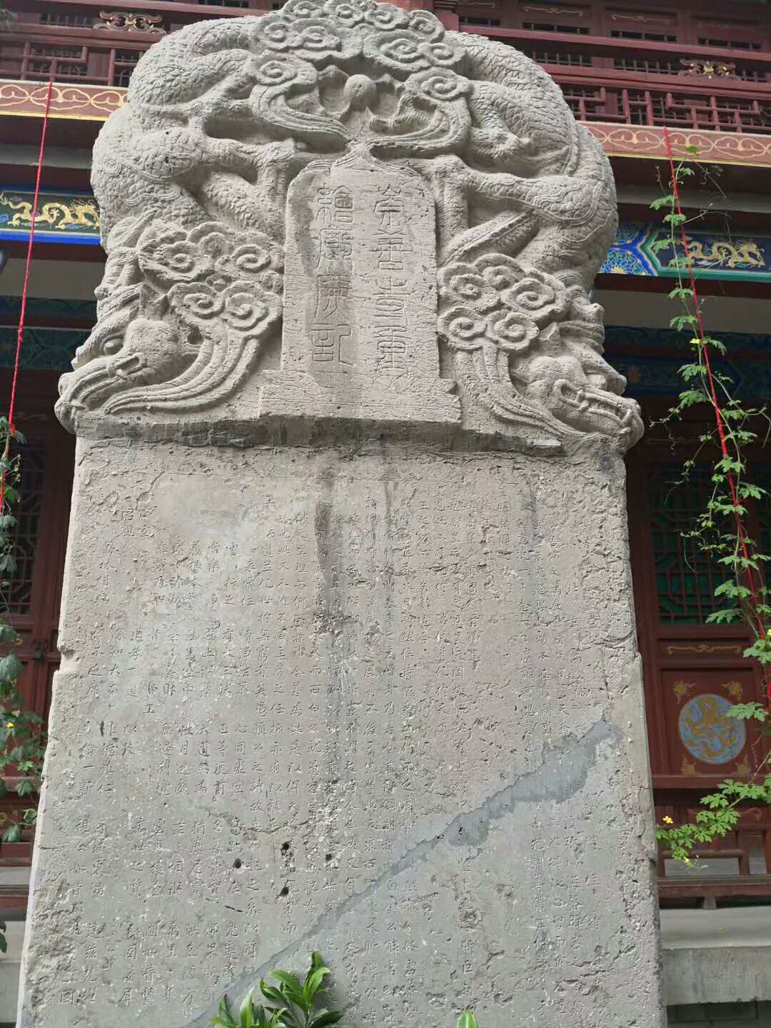 13.jpg