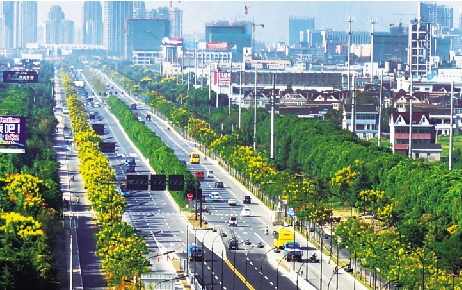 海宁风景.jpg