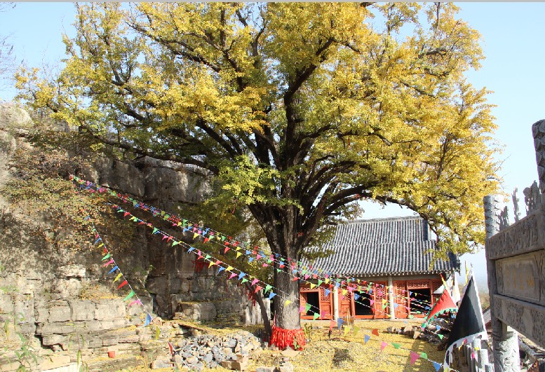 巨龙山2.jpg
