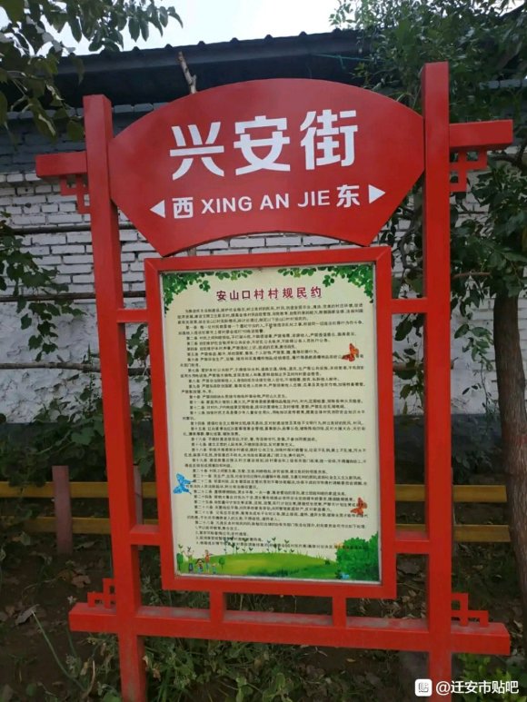 1608169790521173.jpg 6.jpg