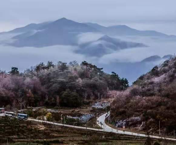 微信图片_20201222110106.jpg