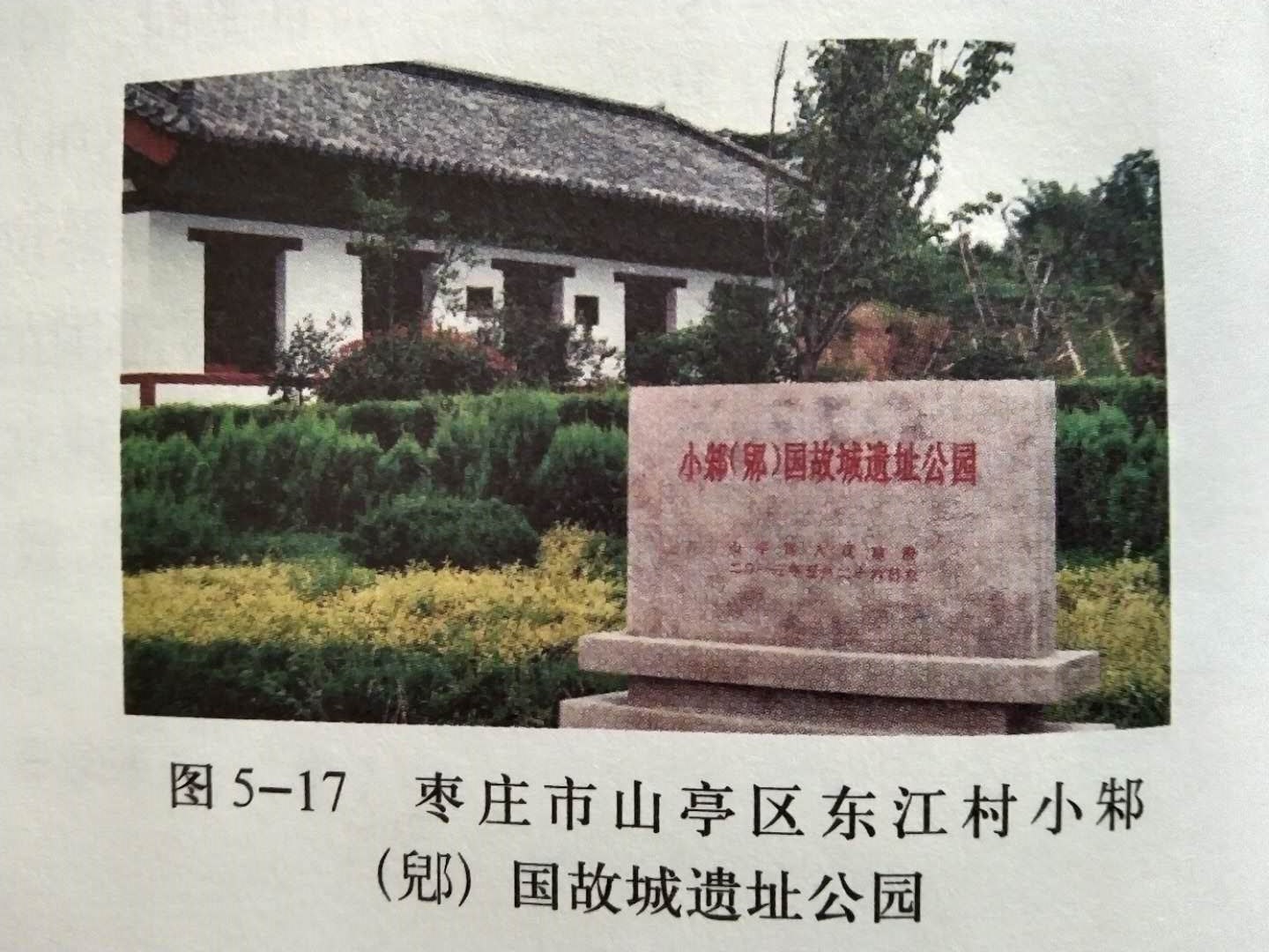 5.jpg