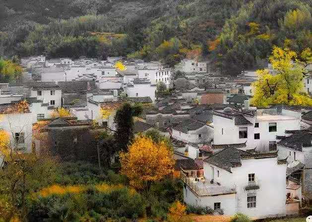 微信图片_20201223021527.jpg