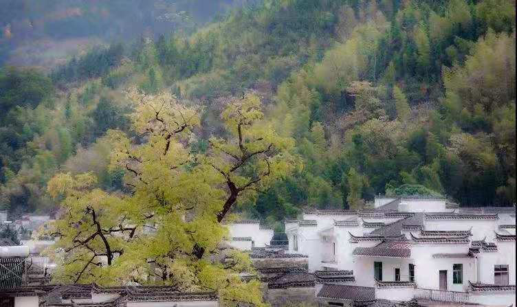微信图片_20201223021539.jpg