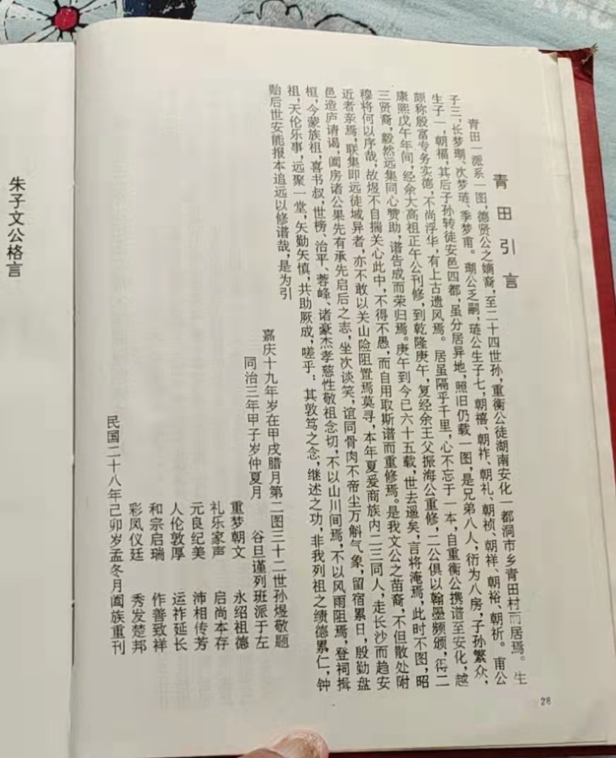 28.jpg