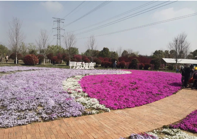 微信截图_20230402213007.png