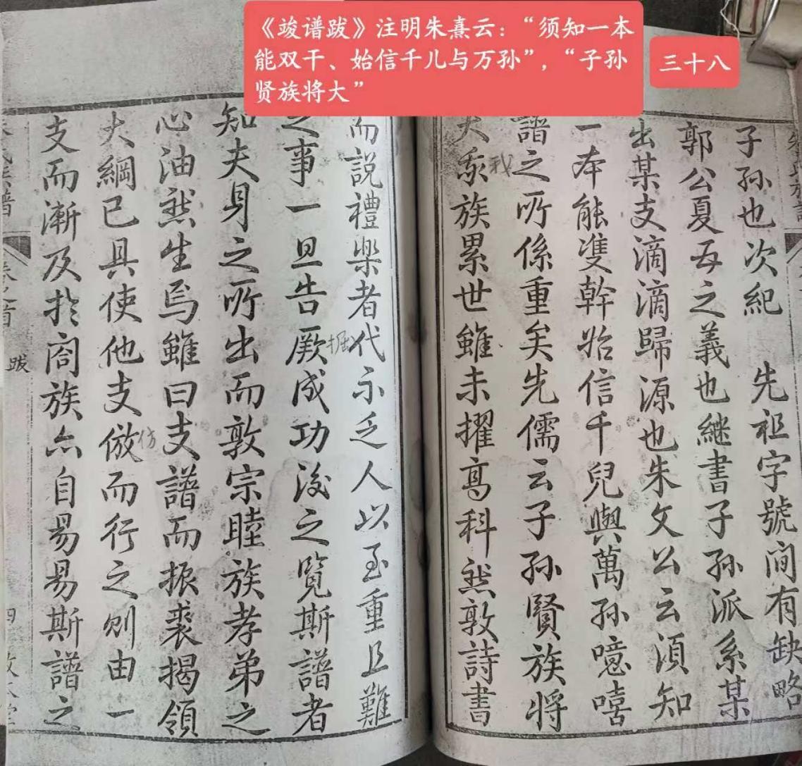 39.jpg