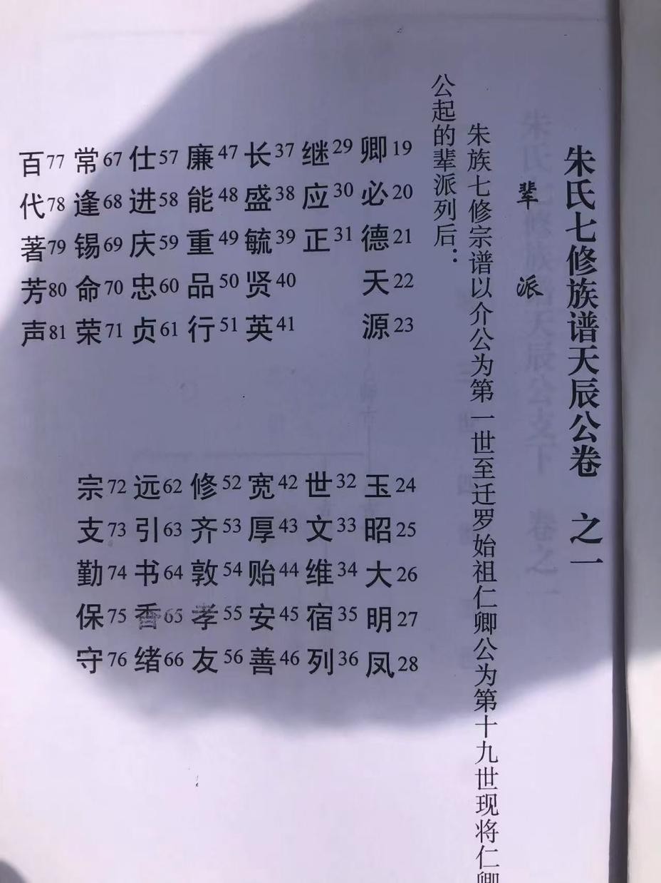 46.jpg