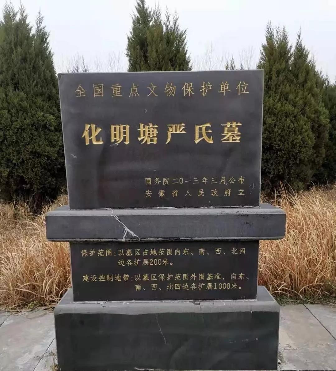 凤阳220191225105111.jpg