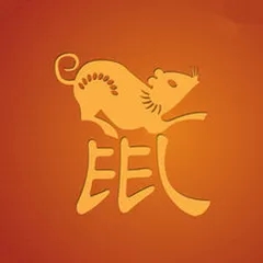 老鼠.webp.jpg