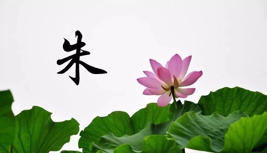 朱3.jpg