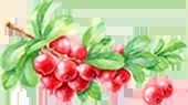 1.webp.jpg