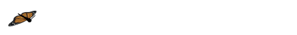蝴蝶（飞舞）.gif