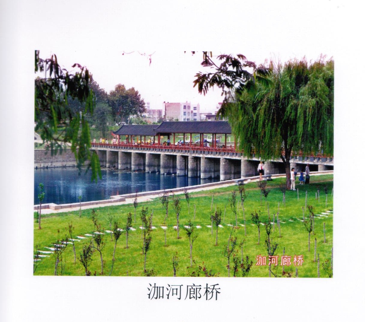 泇河廊桥.jpg