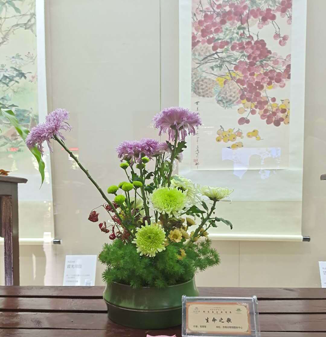 菊花10.jpg