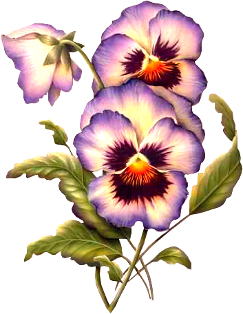 55136700_453.png