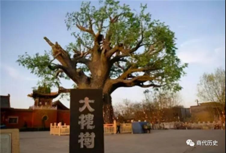 微信图片_20210414143014.jpg