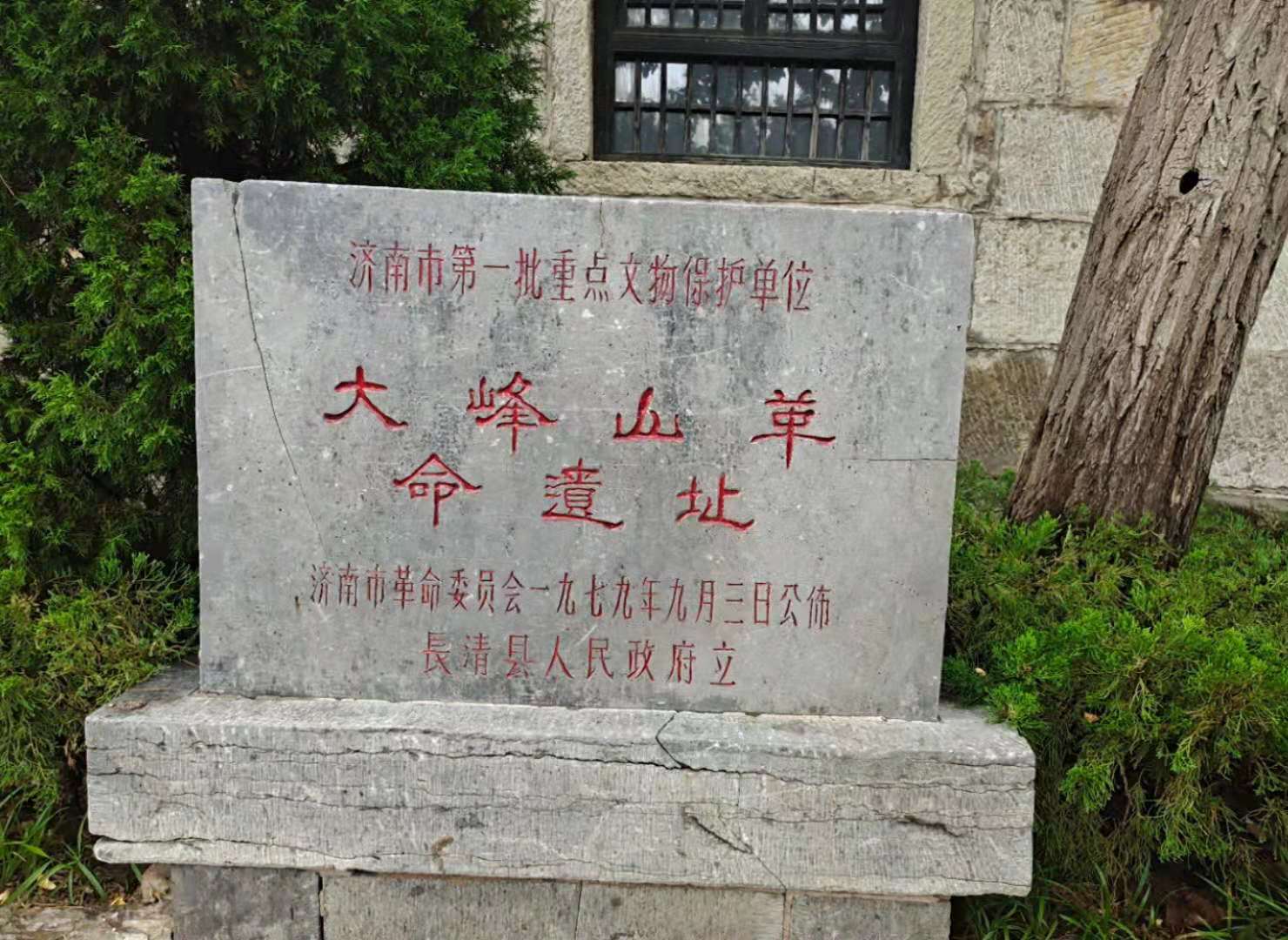 1.jpg