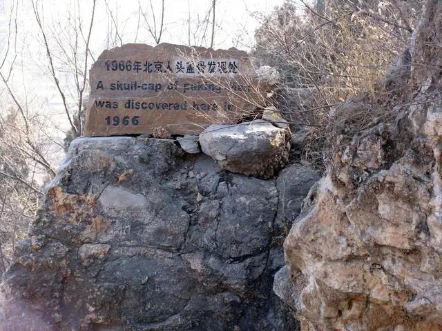 微信图片_20211103143900.jpg