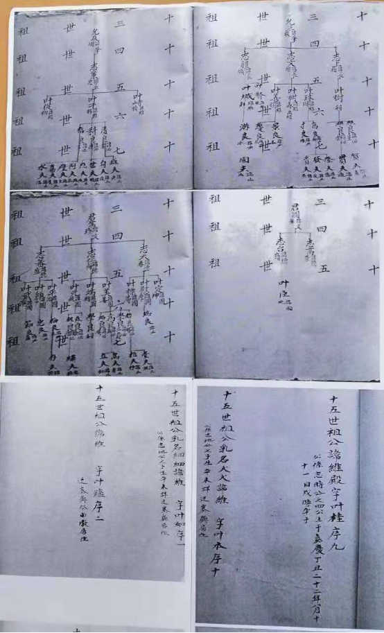 微信图片_20230316142516.png