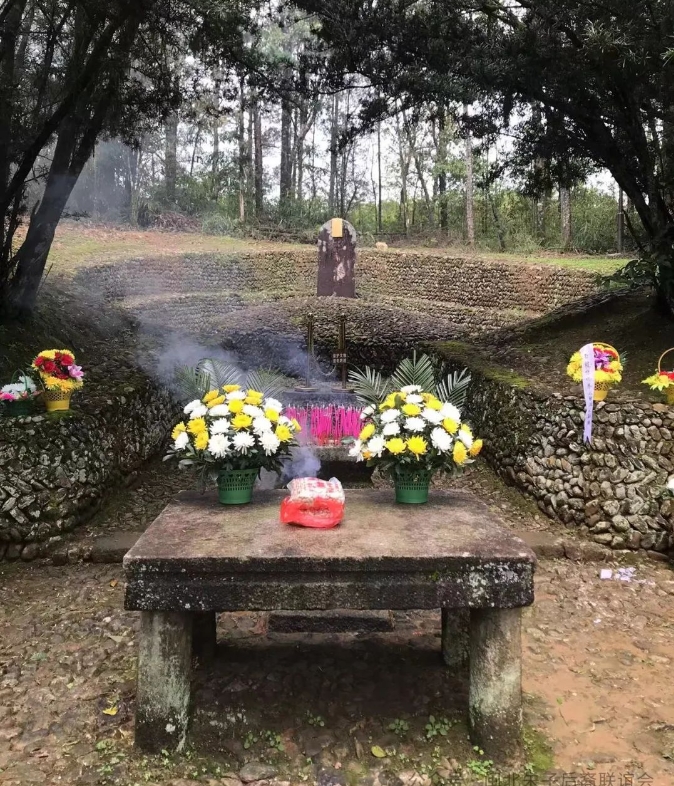 微信截图_20250324093959.png