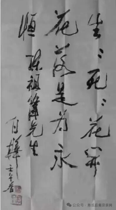 1762417903916689.jpg 9.jpg