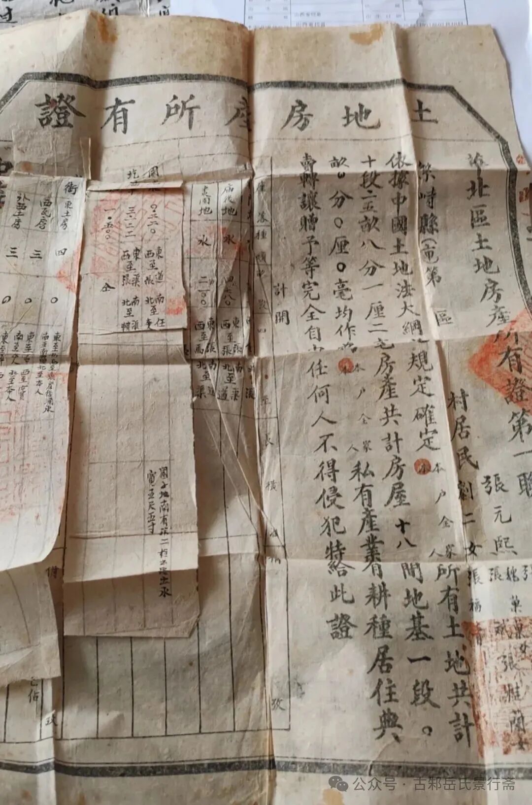 1763895466886217.jpg 12.jpg