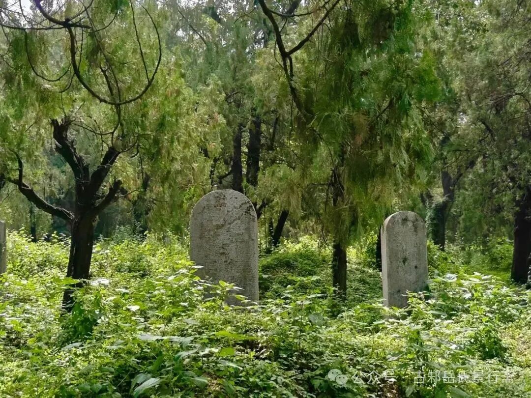 1763895762901130.jpg 7.jpg