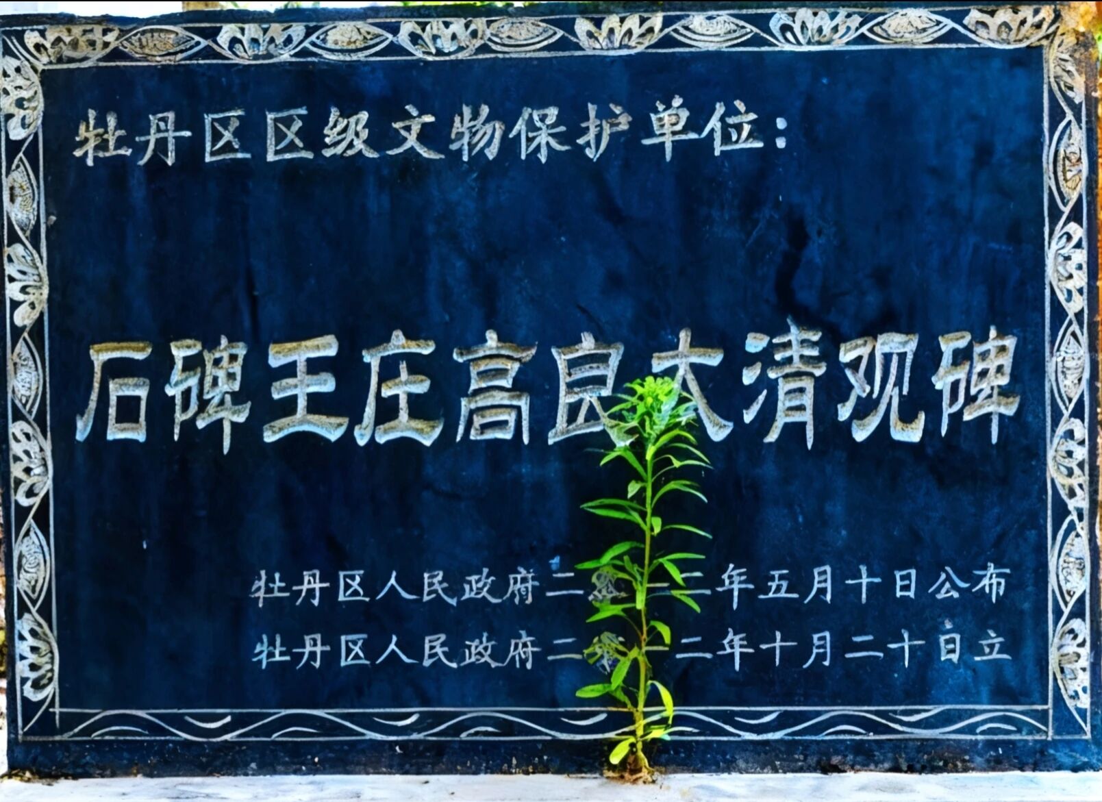 1766537853761946.jpg 1.jpg