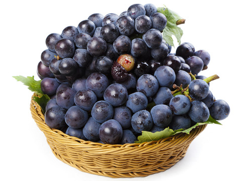 1766663060765904.jpeg 1766662764888.jpeg