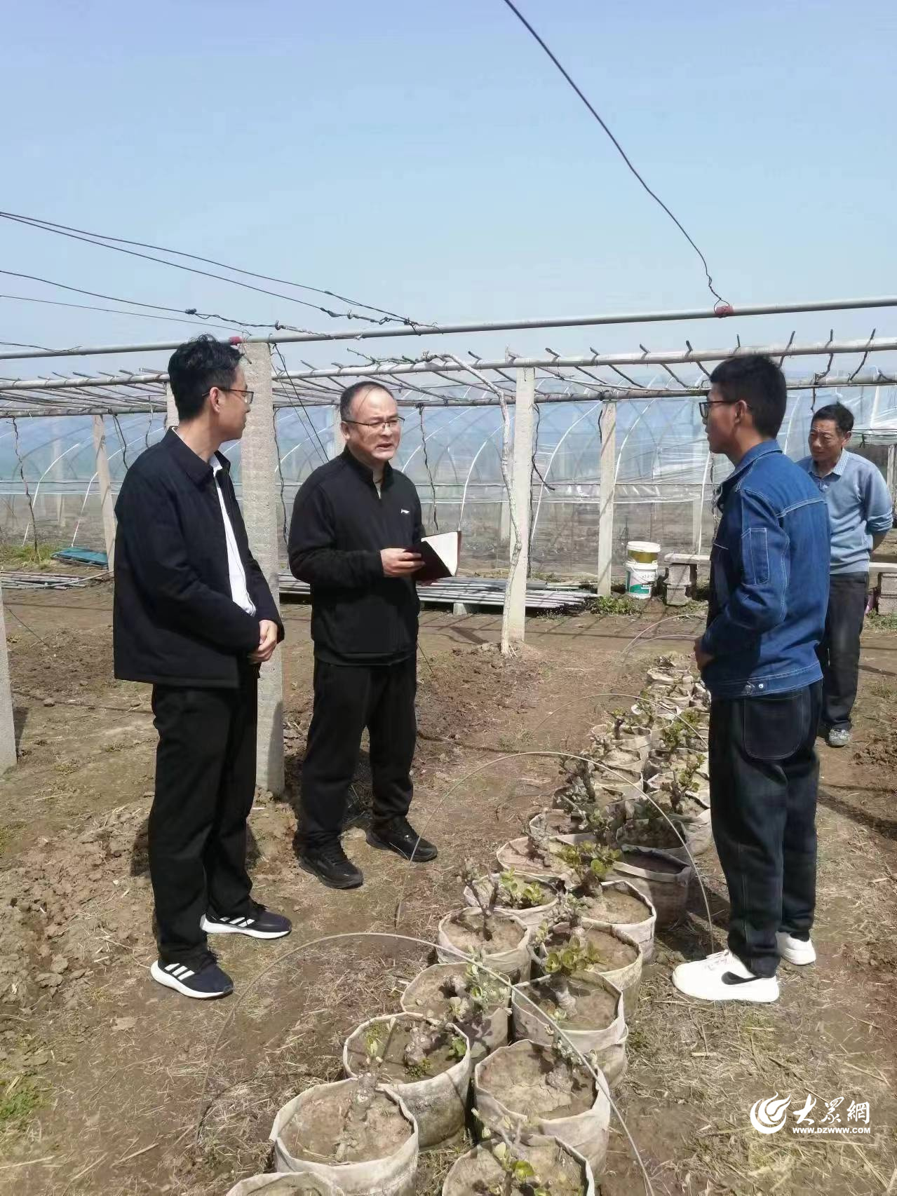 1766663263684941.jpeg 1766663223974.jpeg