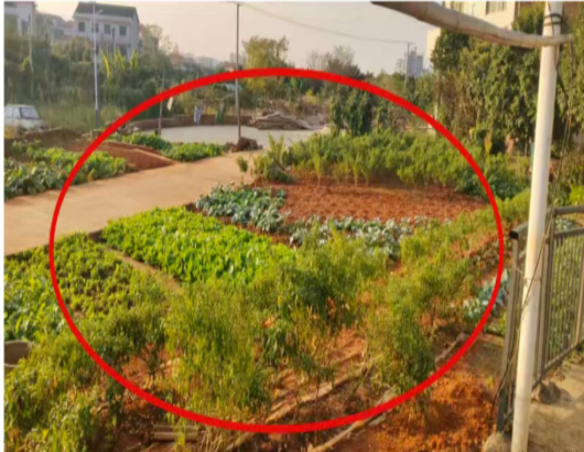 1768879257766957.png 23.png